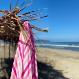 Las Bayadas - La Rosa Beach Blanket